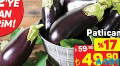 PATLICAN KG PATLICAN KG